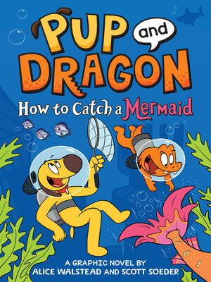 cover image of How to Catch a Mermaid